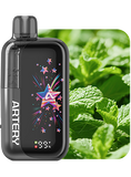 Artery CT3 Disposable Vape 45000 Puffs (5% Nicotine) | Premium Vapes shop UAE