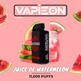 Vapieon 11000 Puffs Disposable Vape (2% Nicotine) | Premium Vapes shop UAE