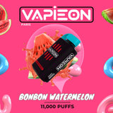 Vapieon 11000 Puffs Disposable Vape (2% Nicotine) | Premium Vapes shop UAE