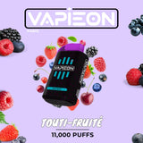 Vapieon 11000 Puffs Disposable Vape (2% Nicotine) | Premium Vapes shop UAE