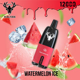 Kalyan 12000 Puffs Rechargeable Pod (5% Nicotine) | Premium Vapes shop UAE